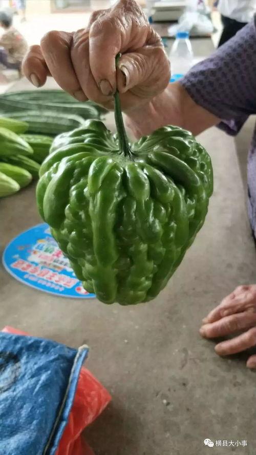 临沂最新瓜爆料,揭秘临沂最新热点事件内幕  第3张